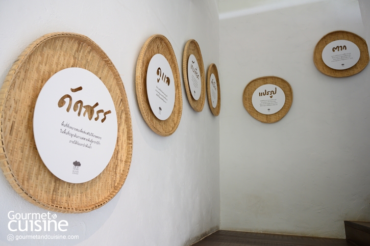 MiVana Coffee Flagship Store ‘มีวนา’ ร้านกาแฟกลาสเฮ้าส์ กับแนวคิดของความยั่งยืนเพื่อเกษตรกรไทย