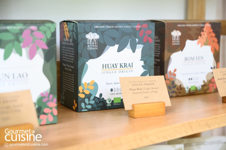 MiVana Coffee Flagship Store ‘มีวนา’ ร้านกาแฟกลาสเฮ้าส์ กับแนวคิดของความยั่งยืนเพื่อเกษตรกรไทย
