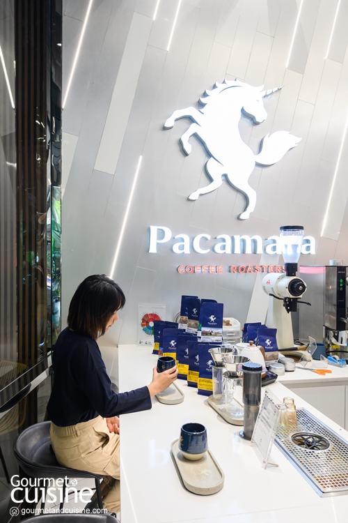 Pacamara Coffee Roasters บุกโลเคชั่นใหม่ที่ โครงการ Velaa Sindhorn Village