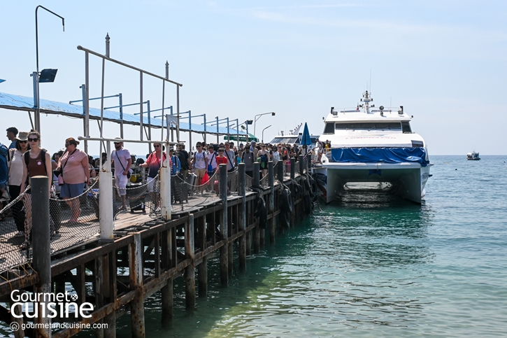 5 กิจกรรมน่าทำที่ ‘เกาะเต่า’ จ.สุราษฎร์ธานี