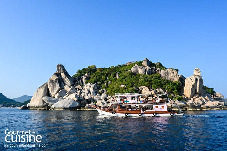 5 กิจกรรมน่าทำที่ ‘เกาะเต่า’ จ.สุราษฎร์ธานี
