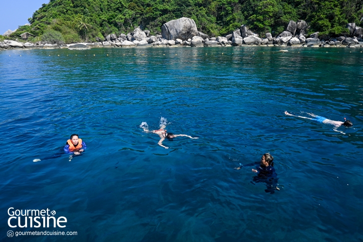 5 กิจกรรมน่าทำที่ ‘เกาะเต่า’ จ.สุราษฎร์ธานี