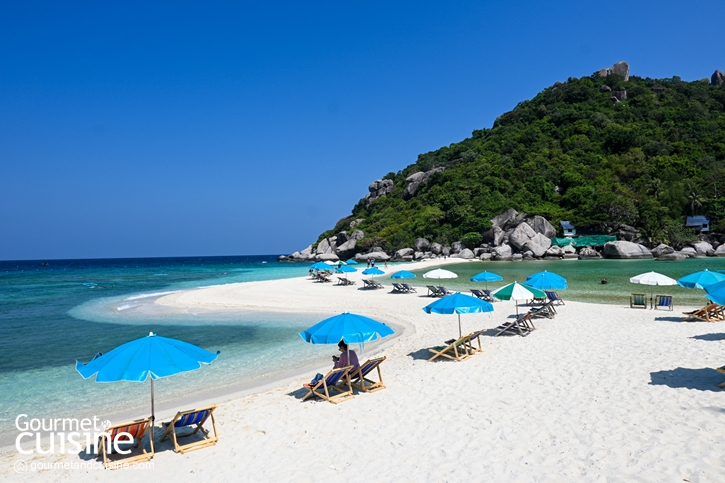 5 กิจกรรมน่าทำที่ ‘เกาะเต่า’ จ.สุราษฎร์ธานี