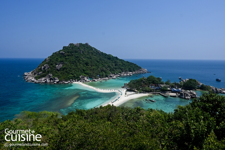 5 กิจกรรมน่าทำที่ ‘เกาะเต่า’ จ.สุราษฎร์ธานี