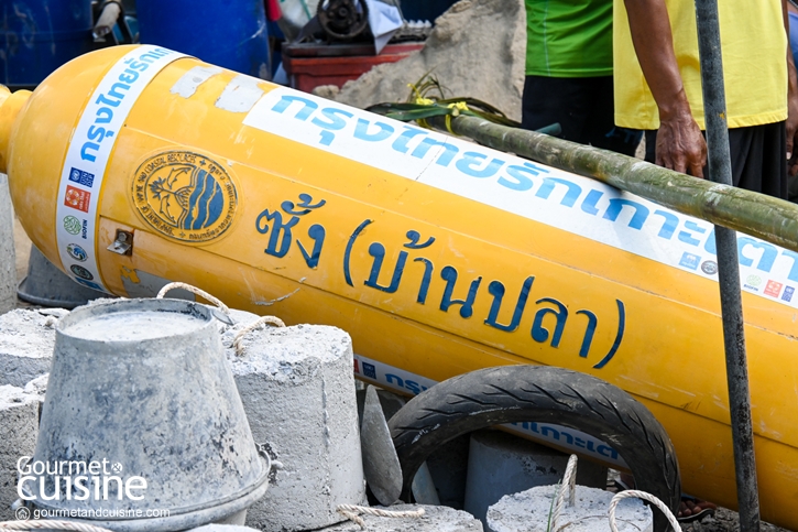5 กิจกรรมน่าทำที่ ‘เกาะเต่า’ จ.สุราษฎร์ธานี