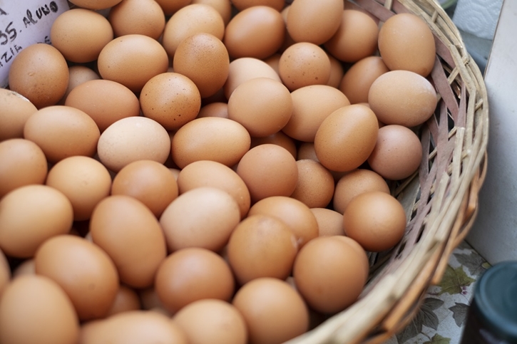 กะเทาะเปลือกเบื้องหลังไข่ไก่ “Cage free” การเดินทางจากเล้าไก่สู่จานอาหาร พบเรื่องราวความพิเศษและความใส่ใจที่ถูกซ่อนอยู่ในทุกเมนู
