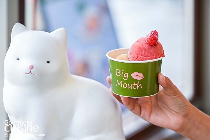 Big Mouth Cafe ไอศกรีมโฮมเมดที่ชูรสด้วยวัตถุดิบธรรมชาติ ไม่กังวลเรื่องน้ำตาลสูง