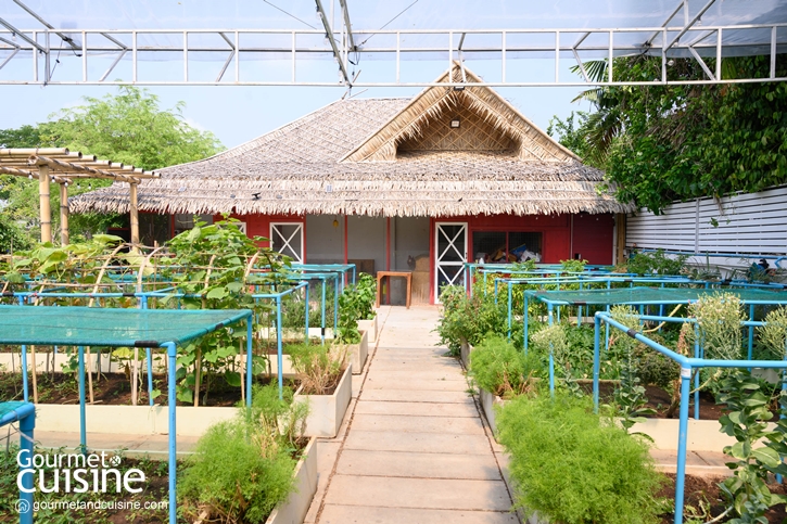 อัญชัน เทอเรส ร้านอาหารไทยสไตล์คอมฟอร์ตฟู้ด ย่านพุทธมณฑลสาย 2