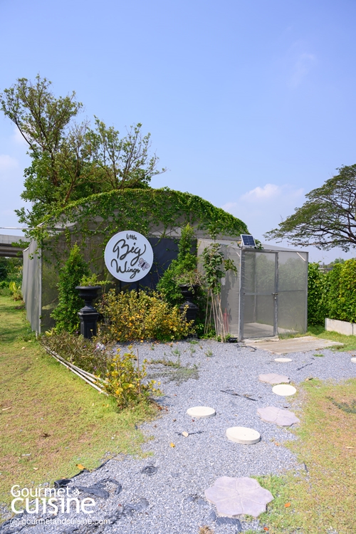 อัญชัน เทอเรส ร้านอาหารไทยสไตล์คอมฟอร์ตฟู้ด ย่านพุทธมณฑลสาย 2