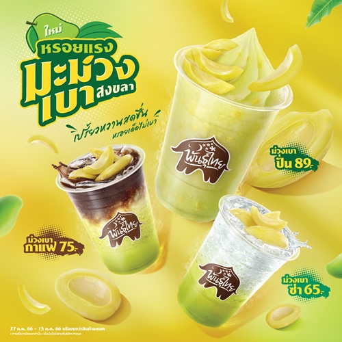 “กาแฟพันธุ์ไทย” เดินหน้าหนุนชุมชน ครีเอทเมนูหรอยแรงจาก “มะม่วงเบา สงขลา” เพิ่มมูลค่าของดีปักษ์ใต้