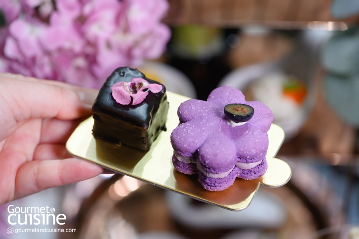 “Garden Lounge Afternoon Tea” ชุดน้ำชายามบ่ายธีมดอกไม้ในสวนสวย