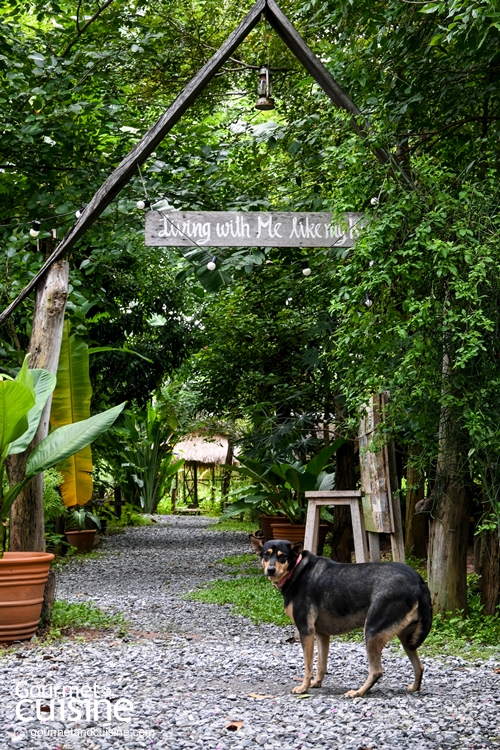 “มีกินฟาร์ม” ชวนพักผ่อนกลางสวนเกษตร ชิมอาหารท้องถิ่นรางวัล Bib Gourmand