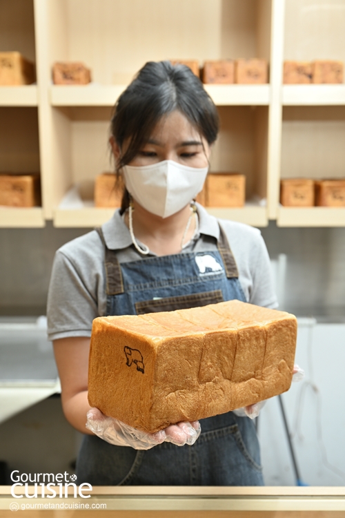 5 ร้านโชกุปัง ที่สายขนมปังต้องหลงรักในความนุ่มฟู