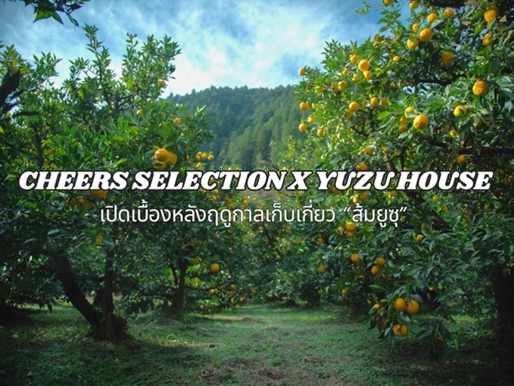 Cheers Selection x Yuzu House เปิดเบื้องหลังฤดูกาลเก็บเกี่ยว “ส้มยูซุ” เตรียมส่งนวัตกรรมเครื่องดื่มรสชาติใหม่สู่ตลาดพรีเมียม 15 พฤศจิกายนนี้