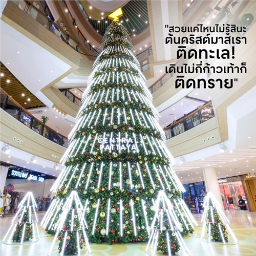 นี่มันต้นคริสต์มาสหรือต้นขิงกันแน่!! ปรากฏการณ์ “ศูนย์การค้าเซ็นทรัลทั่วไทย” พร้อมใจ “ขิงต้นคริสต์มาส” แบบไม่ยอมกัน
