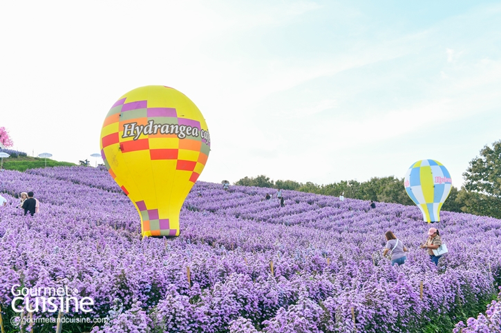 10 พิกัดกินเที่ยวพัก อำเภอเขาค้อ จังหวัดเพชรบูรณ์ ฉบับปี 2024