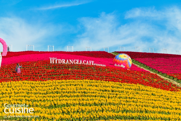 10 พิกัดกินเที่ยวพัก อำเภอเขาค้อ จังหวัดเพชรบูรณ์ ฉบับปี 2024