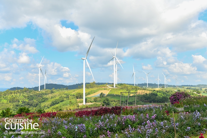 10 พิกัดกินเที่ยวพัก อำเภอเขาค้อ จังหวัดเพชรบูรณ์ ฉบับปี 2024