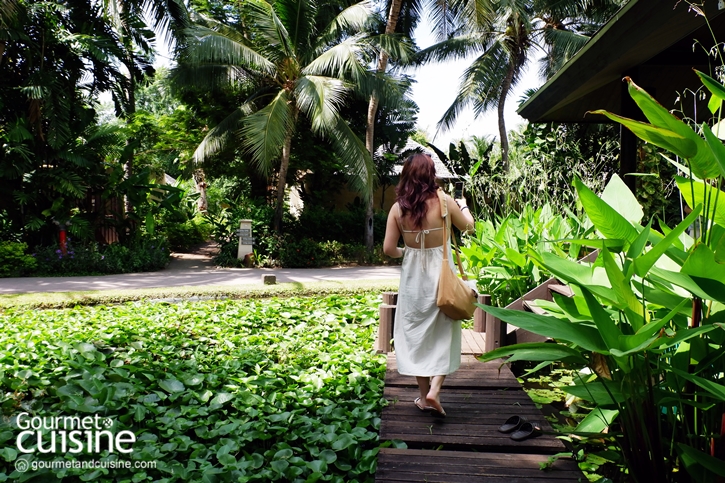 หนีร้อนมาพักผ่อนที่ “Sheraton Hua Hin Pranburi Villas” โอเอซิสเลอค่าแห่งอำเภอปราณบุรี