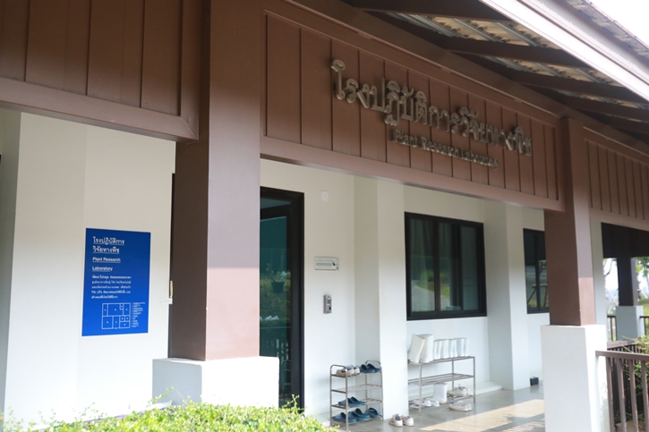 คณะนักวิจัย “ดอยคำ” เจ๋ง! ค้นพบไวรัส 2 สายพันธุ์ ชนิดใหม่ในสตรอว์เบอร์รีพันธุ์พระราชทาน 80