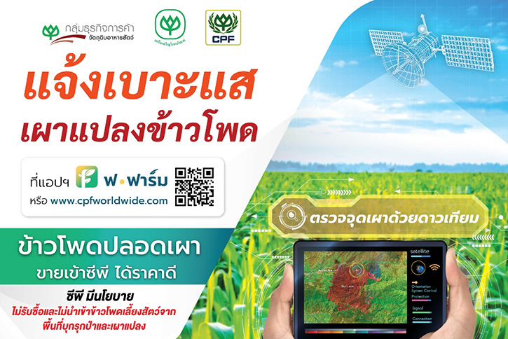 กรุงเทพโปรดิ๊วส นำระบบตรวจสอบย้อนกลับข้าวโพด หนุนปฏิบัติการ 9 มาตรการของรัฐบาล สู้วิกฤตฝุ่น PM 2.5 บูรณาการพลังคู่ค้าพันธมิตร และคนไทยหยุดเผาแปลง