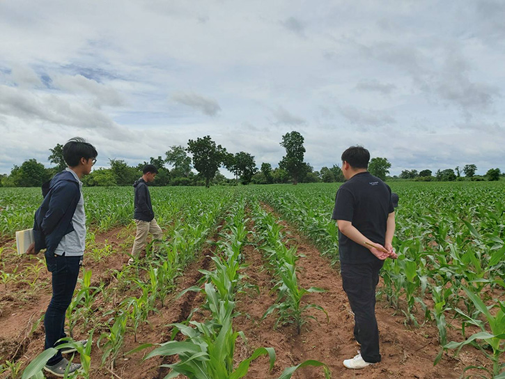 กรุงเทพโปรดิ๊วส นำระบบตรวจสอบย้อนกลับข้าวโพด หนุนปฏิบัติการ 9 มาตรการของรัฐบาล สู้วิกฤตฝุ่น PM 2.5 บูรณาการพลังคู่ค้าพันธมิตร และคนไทยหยุดเผาแปลง