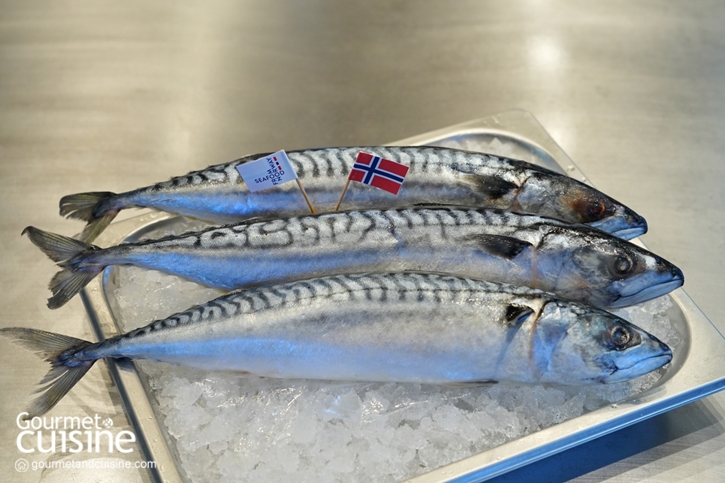 Seafood from Norway X เชฟจิ๊บ กับเวิร์คช็อป “มาทำความรู้จักกับนอร์วีเจียนซาบะ”