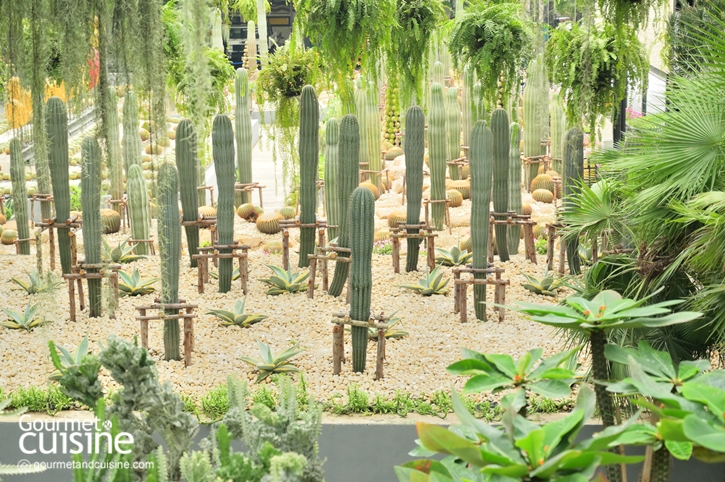 แจกพิกัด 5 สวนไฮไลต์ใน