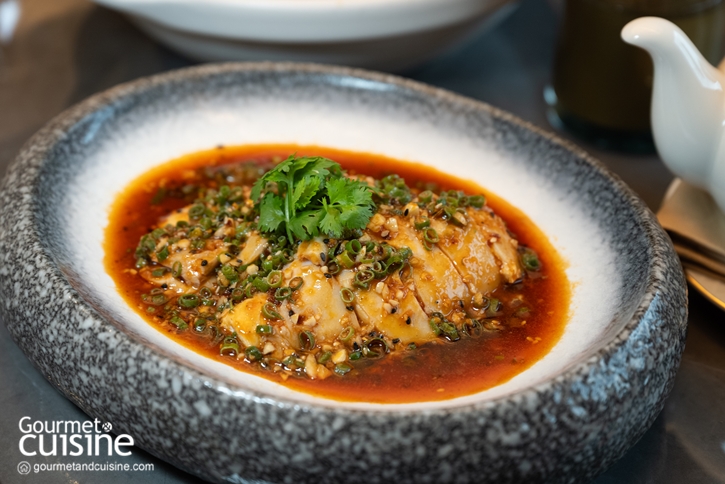 ฉลองตรุษจีนปีมะเส็งที่ 15 ร้านอาหารจีนรสเลิศ 2025 เฮงๆ ปังๆ รับศักราชใหม่กันถ้วนหน้า