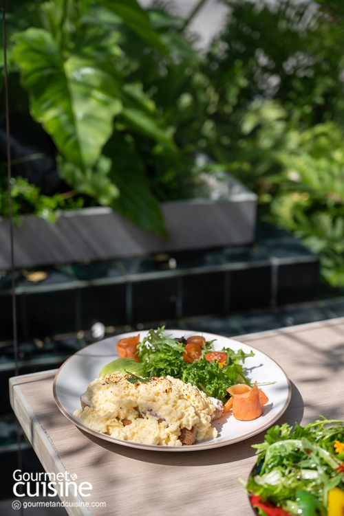WellnessMe Bangna โดย Let’s Relax ชวนผ่อนคลายกับไพรเวตออนเซ็นเอาใจคนขี้เมื่อยย่านบางนา