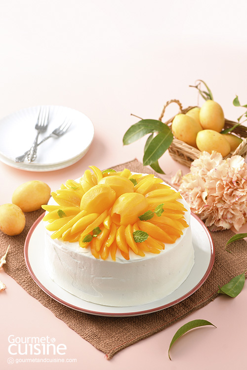 มาแล้ว! 10 เมนูมะยงชิด รสเปรี้ยวอมหวาน ความฟินที่นักชิมกดไลค์