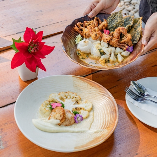 อายิโนะโมะโต๊ะ ร่วมกับเชฟดังจุดประกายครีเอท “เมนูรักษ์โลก” กับ 4 ร้านอาหารชั้นนำ