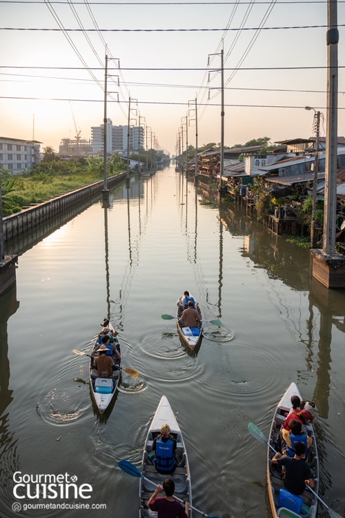 นั่งเรือริมคลองไม่เหงาเพราะมีแมวเป็นเพื่อน ณ ตลาดหัวตะเข้ ลาดกระบัง