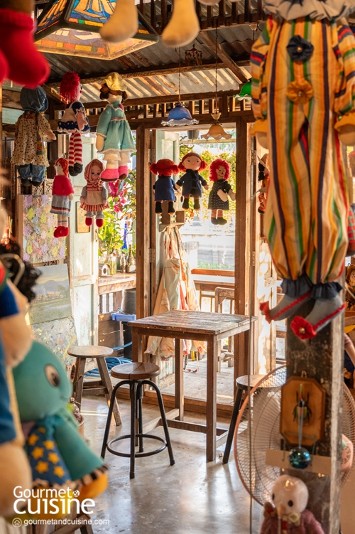 นั่งเรือริมคลองไม่เหงาเพราะมีแมวเป็นเพื่อน ณ ตลาดหัวตะเข้ ลาดกระบัง