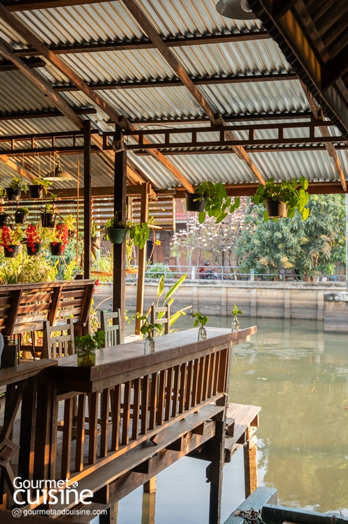 นั่งเรือริมคลองไม่เหงาเพราะมีแมวเป็นเพื่อน ณ ตลาดหัวตะเข้ ลาดกระบัง
