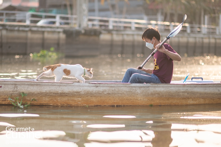 นั่งเรือริมคลองไม่เหงาเพราะมีแมวเป็นเพื่อน ณ ตลาดหัวตะเข้ ลาดกระบัง
