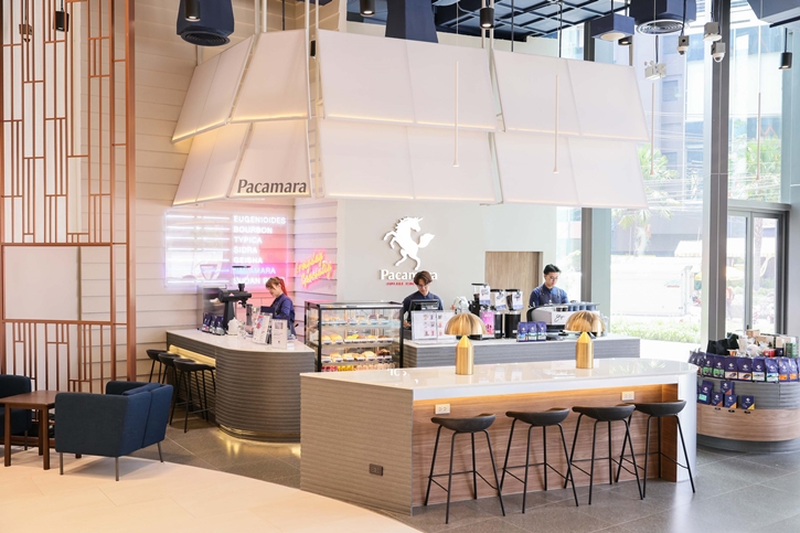 ‘Pacamara Coffee Roasters’ เอาใจคนรักอเมริกาโน่! เปิดตัวแคมเปญ HAVE A COLORFUL AMERICANO! คัดสรรเมล็ดกาแฟพิเศษจากทั่วโลก