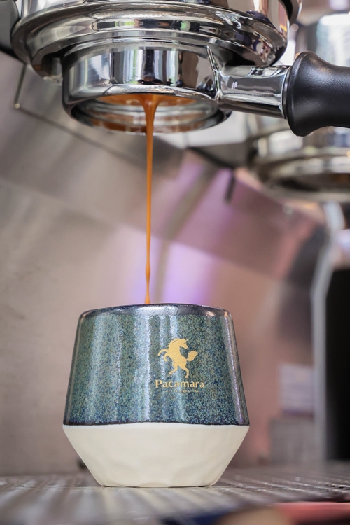 ‘Pacamara Coffee Roasters’ เอาใจคนรักอเมริกาโน่! เปิดตัวแคมเปญ HAVE A COLORFUL AMERICANO! คัดสรรเมล็ดกาแฟพิเศษจากทั่วโลก