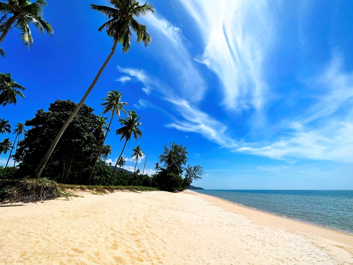 การแข่งขัน Thailand Beach Teqball Open 2025 ปักหมุดอำเภอสิชล ขึ้นแท่นจุดท่องเที่ยวริมทะเลแห่งใหม่ของประเทศไทย