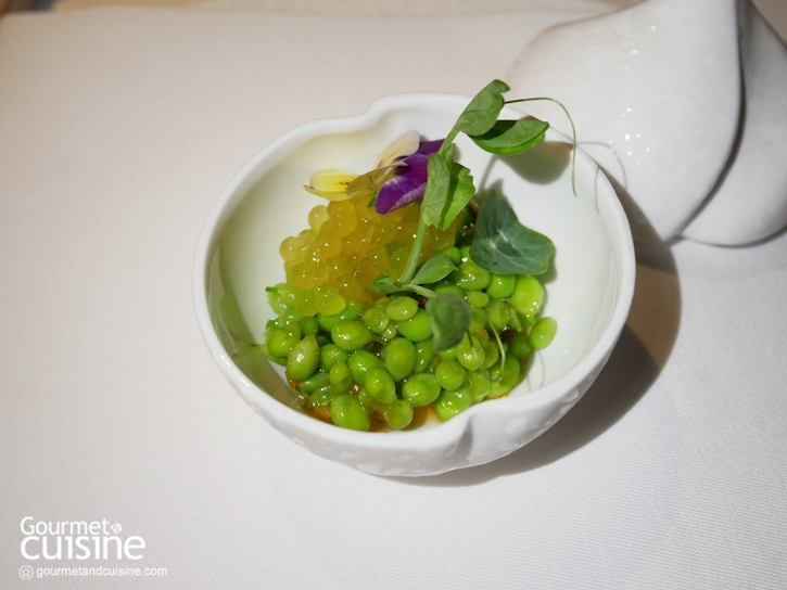 เปิดตัว KTC Culinary Collective หนังสือรวมร้านอร่อย เล่มที่ 6 ณ ร้าน Haoma ซอยสุขุมวิท 31