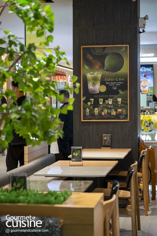 Matcha Series Kyo Roll En