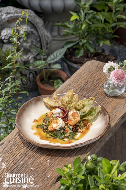ยำผักกูดกุ้งสดแนมใบพิลังกาสา สูตรโดย คุณกุ้ง - ศรีกาญจนา ทองสมุทร ร้านขึ้นวัง สมุทรปราการ