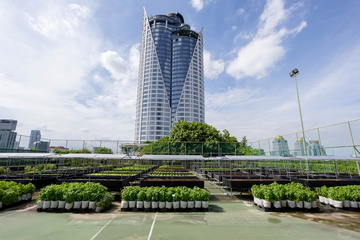 “From Rooftop Farm to Table” เซ็นทาราแกรนด์ เซ็นทรัลเวิลด์ เสิร์ฟความสดใหม่จากฟาร์มผักออร์แกนิกลอยฟ้า
