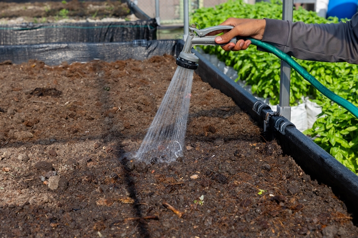 “From Rooftop Farm to Table” เซ็นทาราแกรนด์ เซ็นทรัลเวิลด์ เสิร์ฟความสดใหม่จากฟาร์มผักออร์แกนิกลอยฟ้า