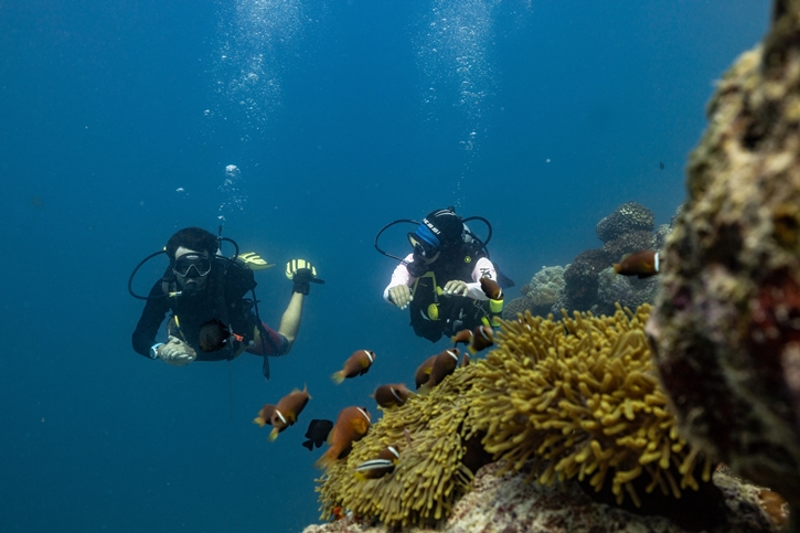 PADI AWARE Week 2025