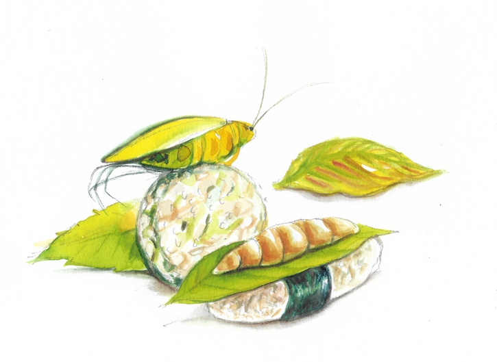 Mealworms รู้จักโปรตีนจากแมลง อาหารแห่งอนาคตที่อาจไม่น่ากลัวอย่างที่คิด