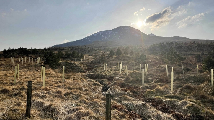 V-ZUG รังสรรค์อนาคต ด้วยหัวใจแห่งความยั่งยืนในทุกรายละเอียด