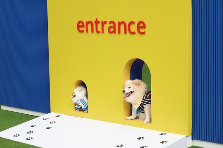 อิเกีย ตอกย้ำความเป็น Pet-friendly ชวนคนรักสัตว์เลี้ยงเช็คอิน งาน “เติมเต็มบ้านด้วยความรักและหัวใจคนฟู” ณ เอ็ม ยาร์ด 18-28 ก.ค. นี้