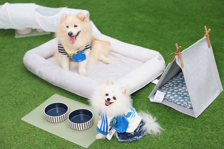 อิเกีย ตอกย้ำความเป็น Pet-friendly ชวนคนรักสัตว์เลี้ยงเช็คอิน งาน “เติมเต็มบ้านด้วยความรักและหัวใจคนฟู” ณ เอ็ม ยาร์ด 18-28 ก.ค. นี้