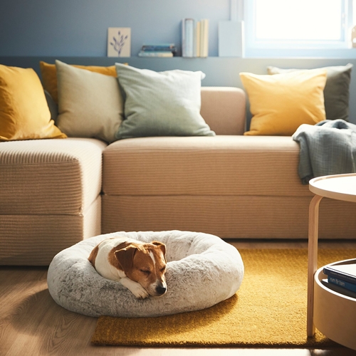 อิเกีย ตอกย้ำความเป็น Pet-friendly ชวนคนรักสัตว์เลี้ยงเช็คอิน งาน “เติมเต็มบ้านด้วยความรักและหัวใจคนฟู” ณ เอ็ม ยาร์ด 18-28 ก.ค. นี้